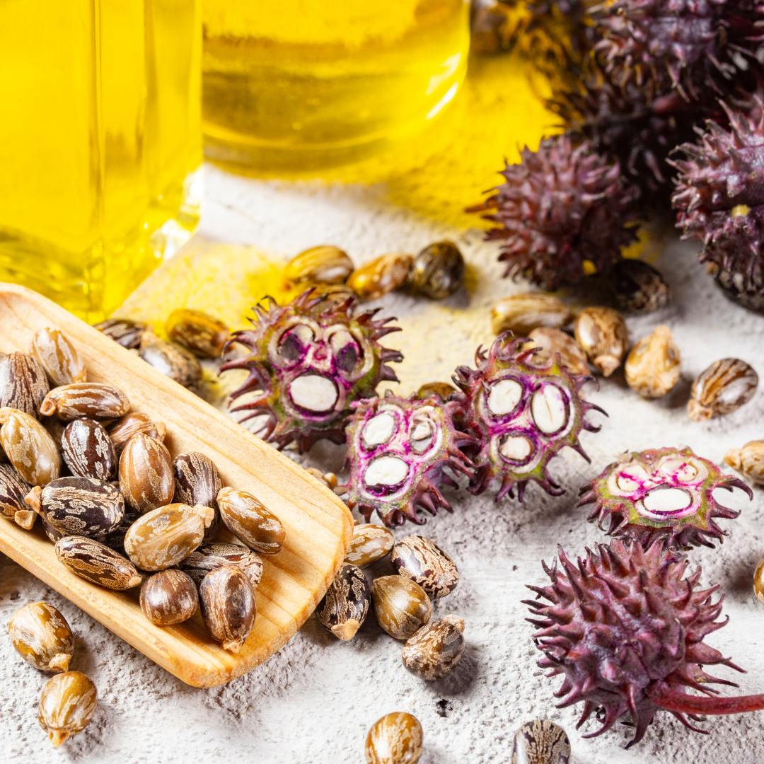 Ricinus Communis Seed Oil: Castor Oil
