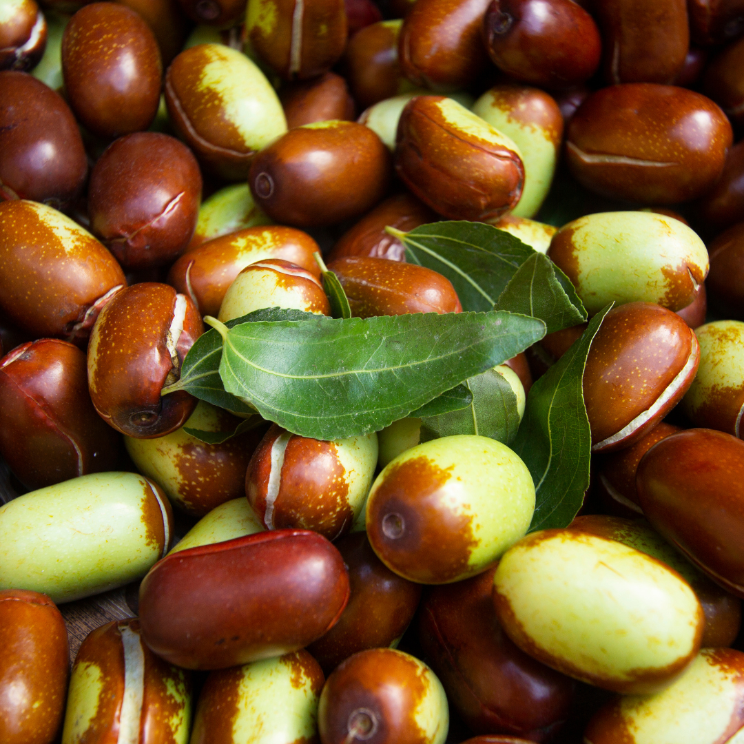 Simmondsia Chinensis Seed Oil: Organic Jojoba Oil